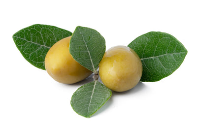 Marula Oil