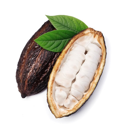 Cocoa Butter