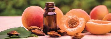 Apricot Kernel Oil
