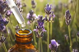 Botanical Oil Complex (Rosehip, Pomegranate, Argan, Moringa)